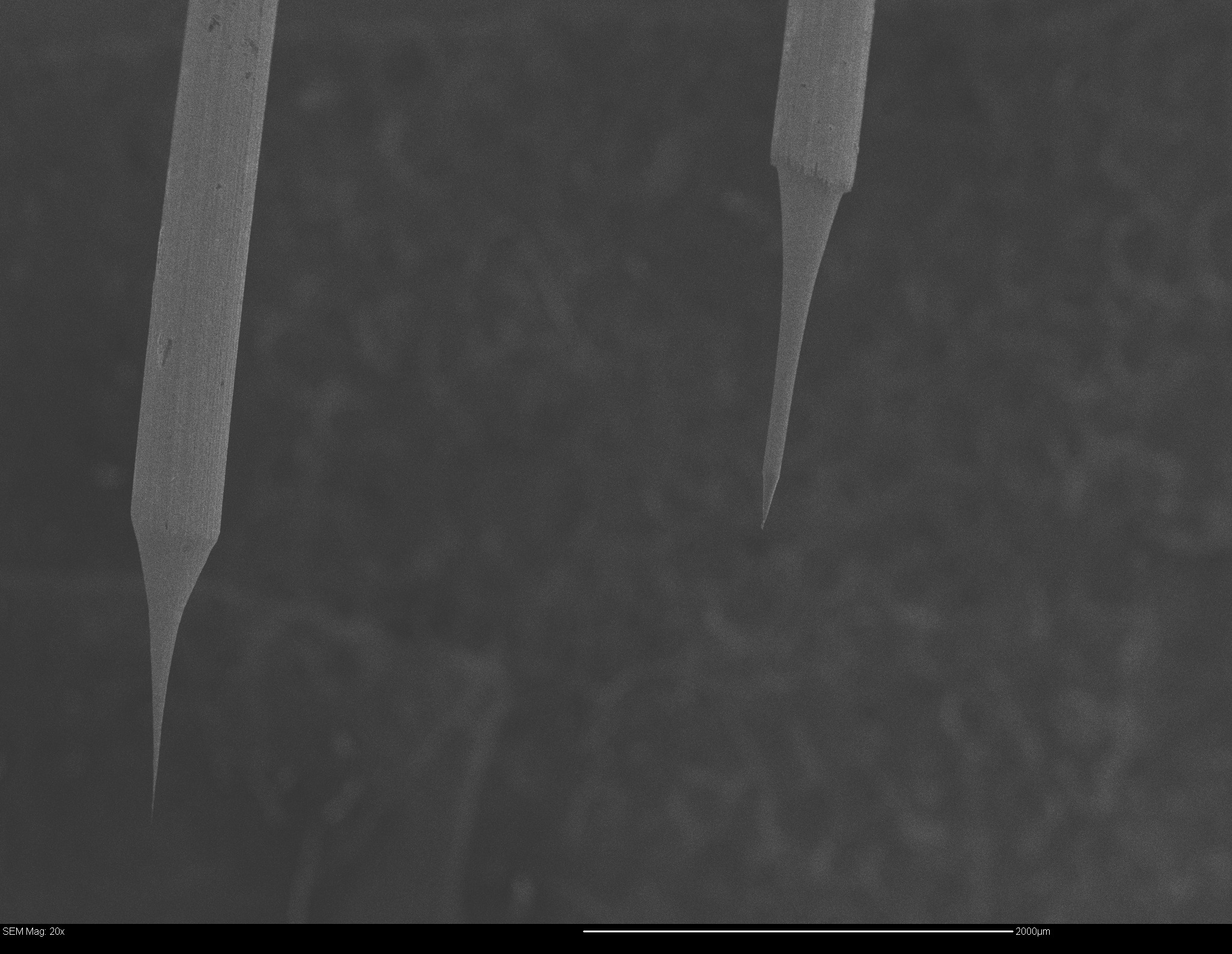 probe1_and_2_001.jpg