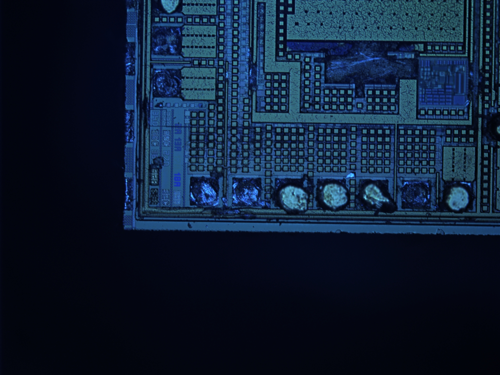 a338s0459-10x-01.jpg a338s0459-10x-01.jpg