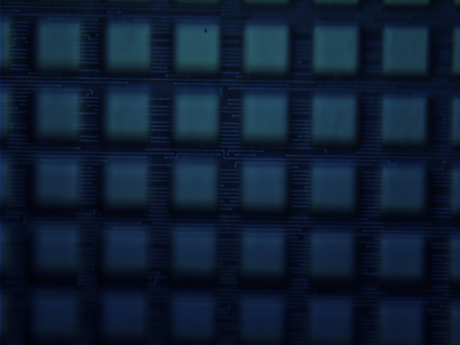 a338s0459-100x-01.jpg a338s0459-100x-01.jpg