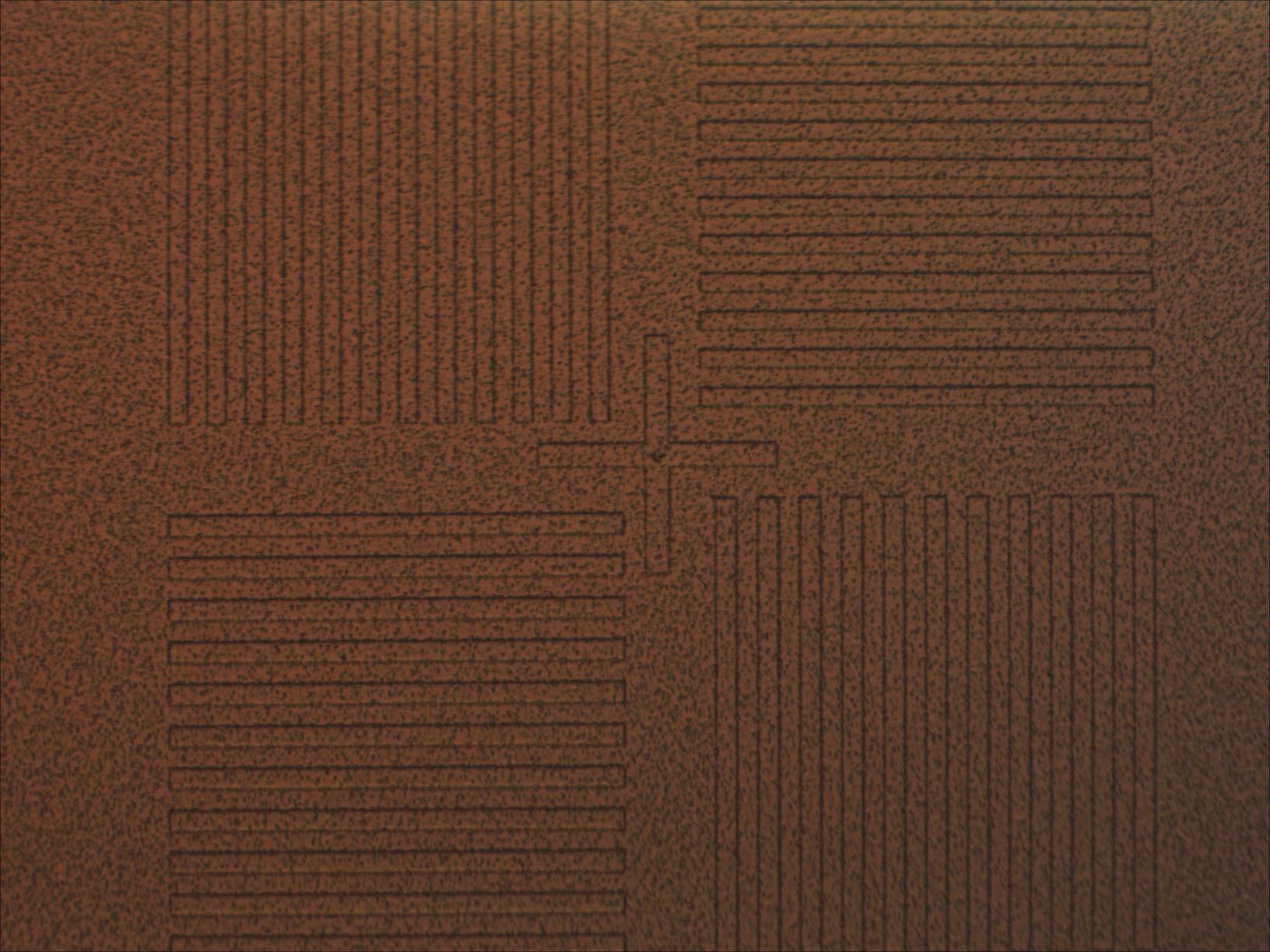 test2_2_mit20x.jpg test2_2_mit20x.jpg