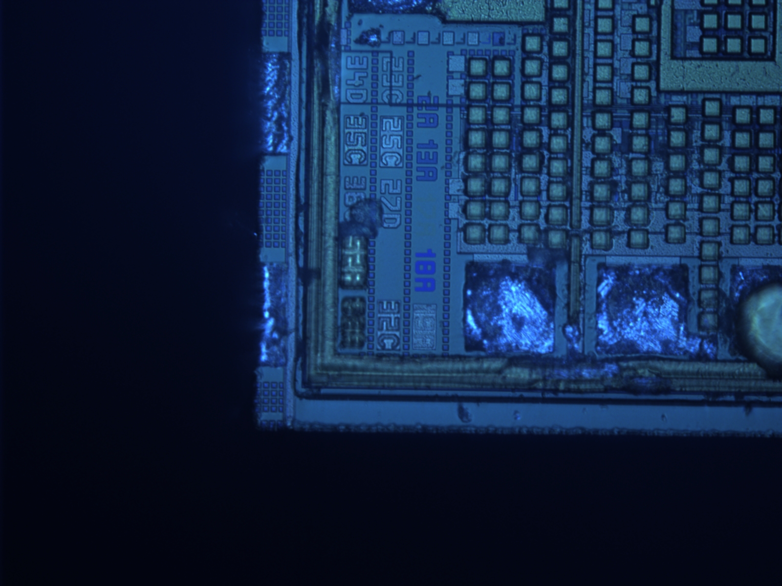 a338s0459-20x-02.jpg a338s0459-20x-02.jpg