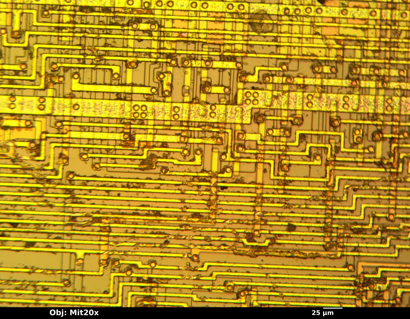 sample_mit20x.jpg sample_mit20x.jpg