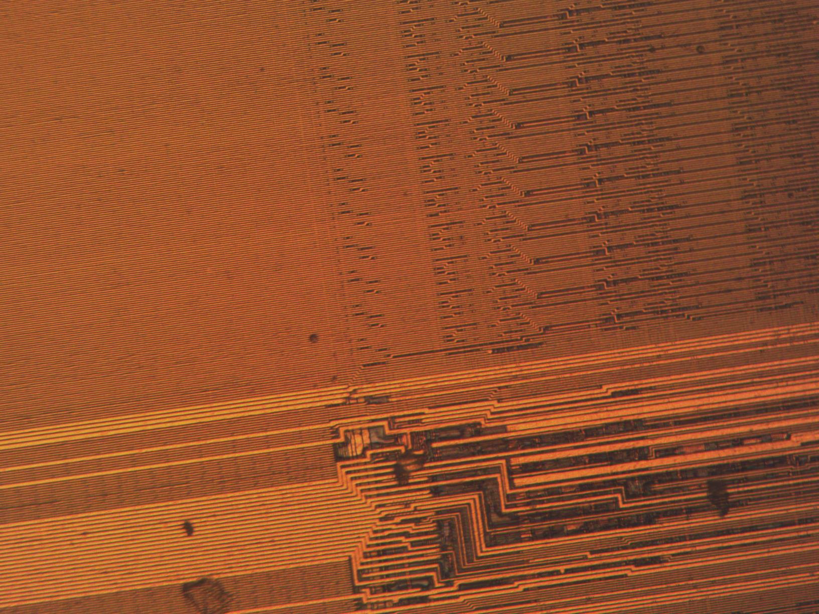 sample_mit20x.jpg sample_mit20x.jpg