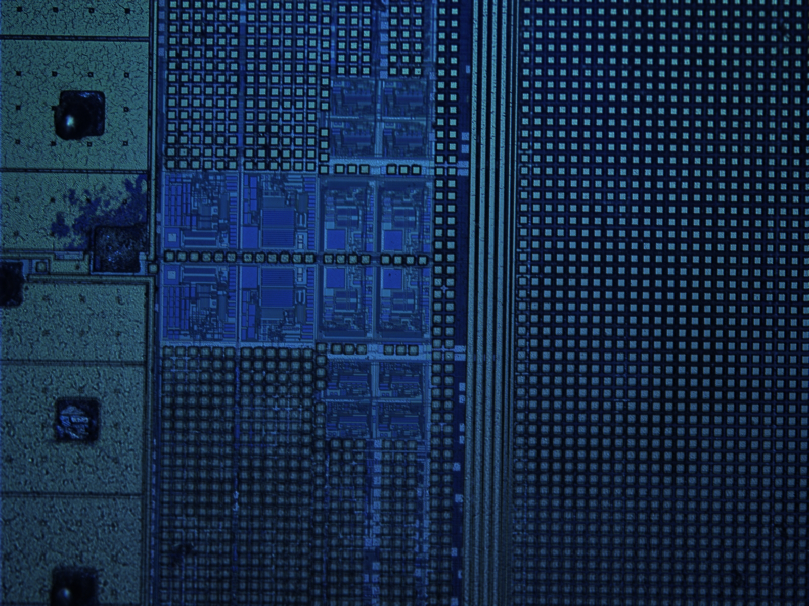 a338s0459-10x-05.jpg a338s0459-10x-05.jpg