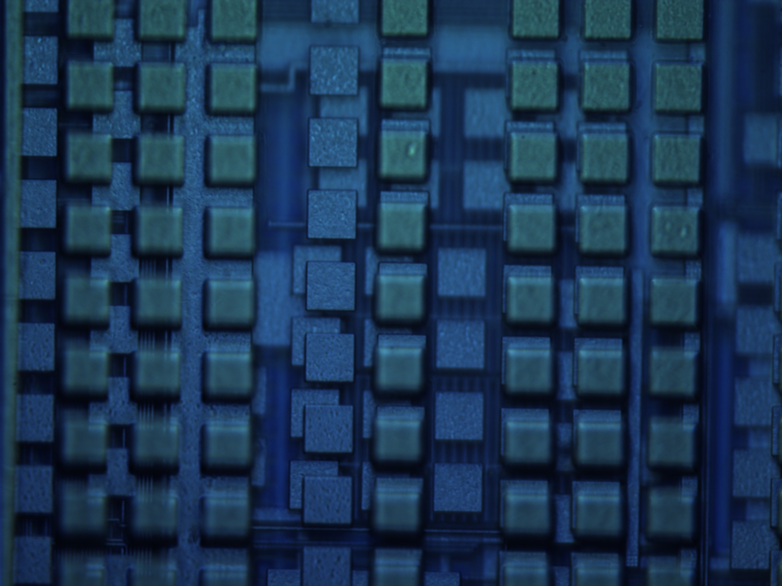 a338s0459-60x-02.jpg a338s0459-60x-02.jpg