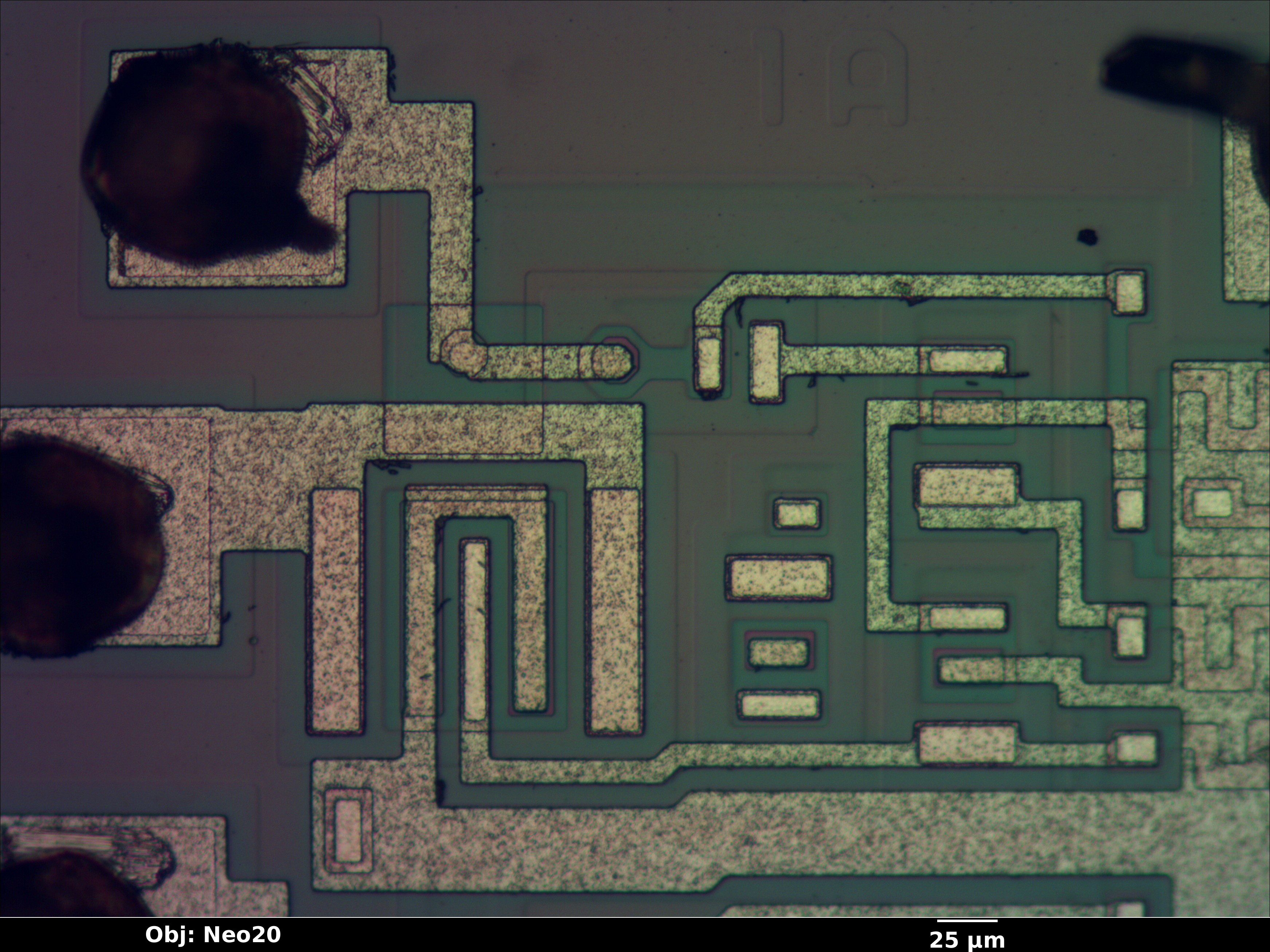 unknown_7407_02_bf_neo20x_annotated.jpg